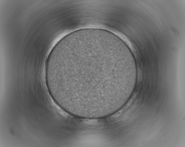 X0000111131006200907281046