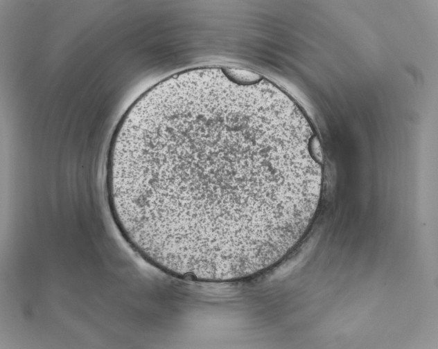 X0000111131007200907281046