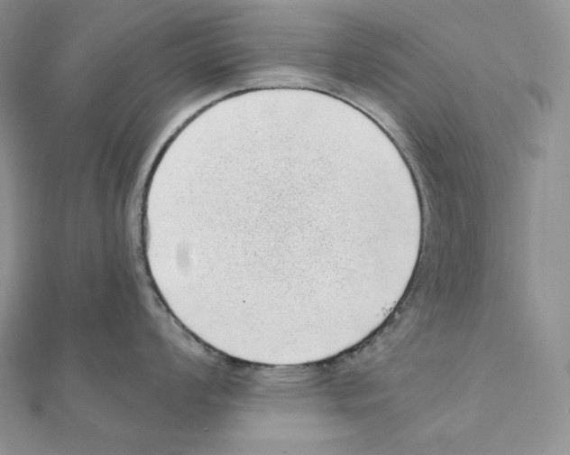 X0000111131008200907281046