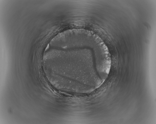 X0000111131009200907281046