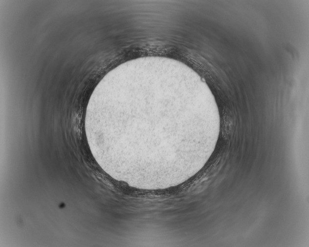 X0000111131010200907281046