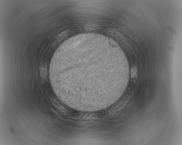 X0000111131011200907281046