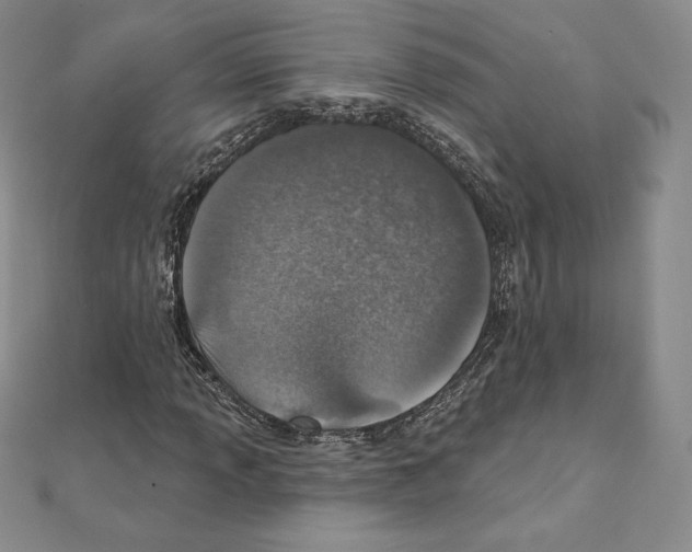 X0000111131013200907281046