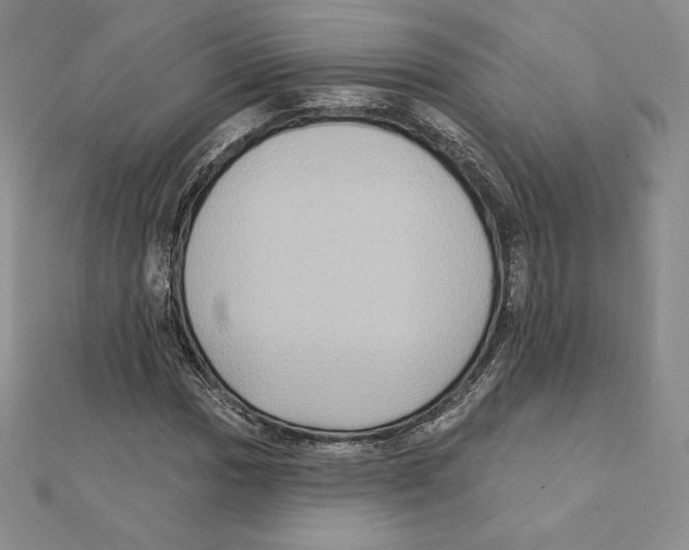 X0000111131017200907281046