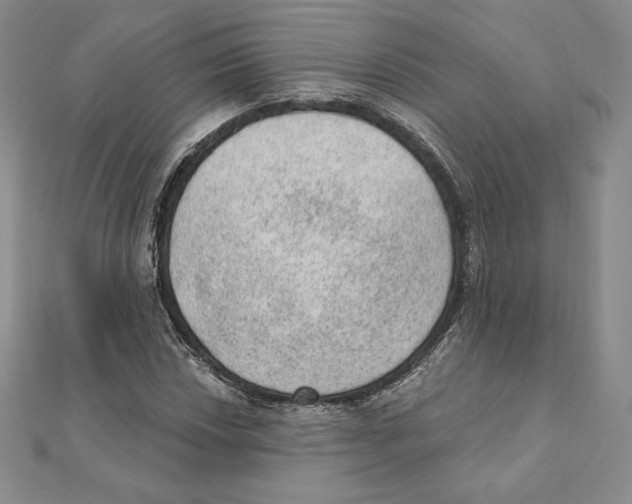 X0000111131018200907281046