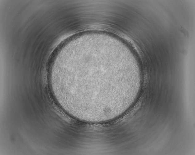 X0000111131019200907281046