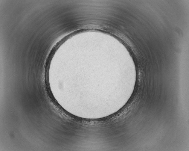 X0000111131020200907281046