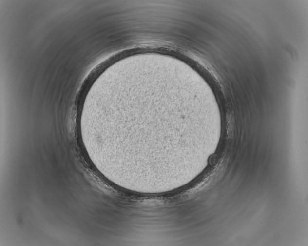 X0000111131021200907281046
