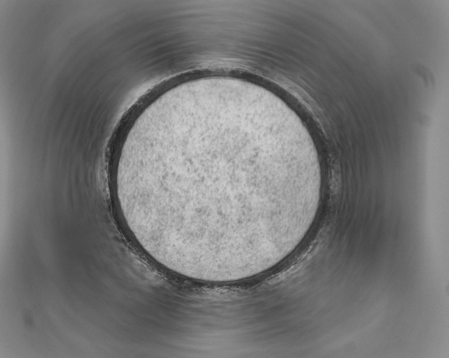 X0000111131022200907281046
