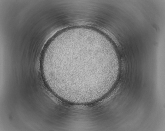 X0000111131023200907281046