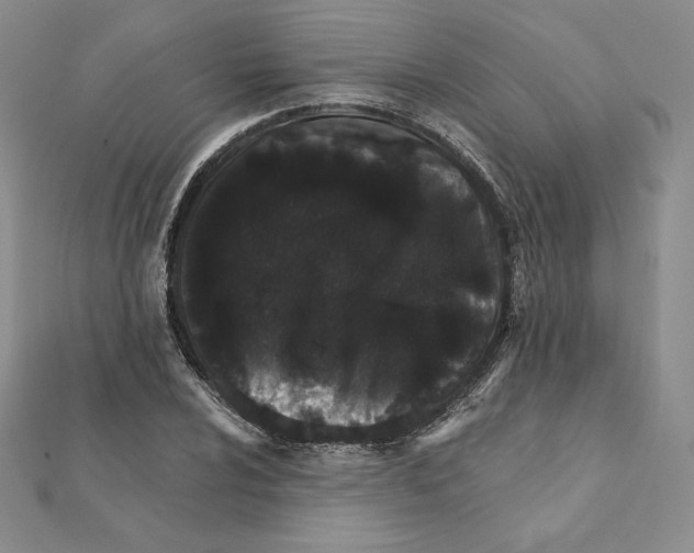 X0000111131024200907281046