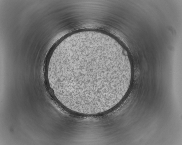 X0000111131026200907281046