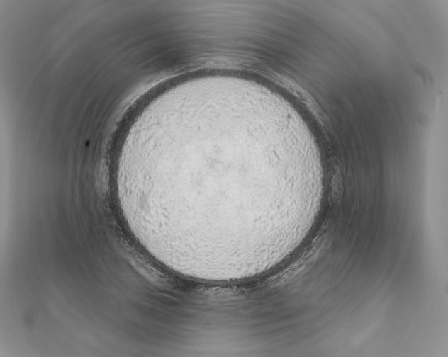 X0000111131027200907281046