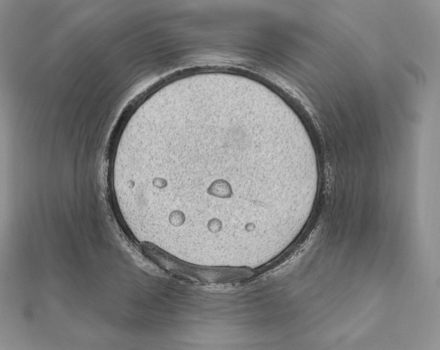X0000111131029200907281046