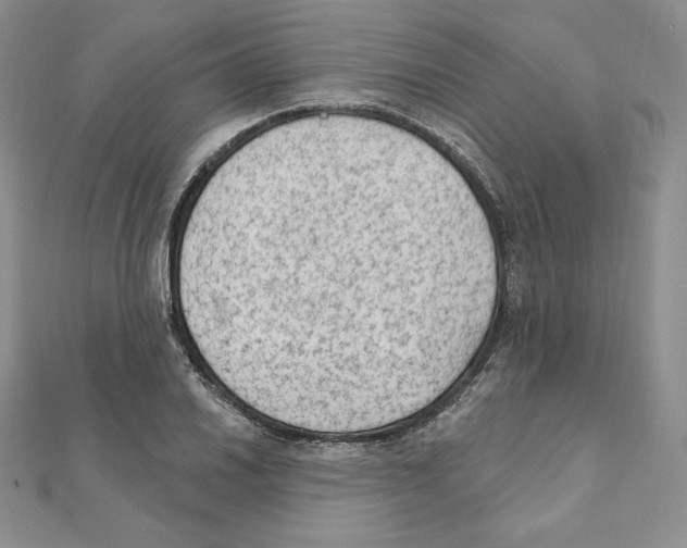 X0000111131030200907281046
