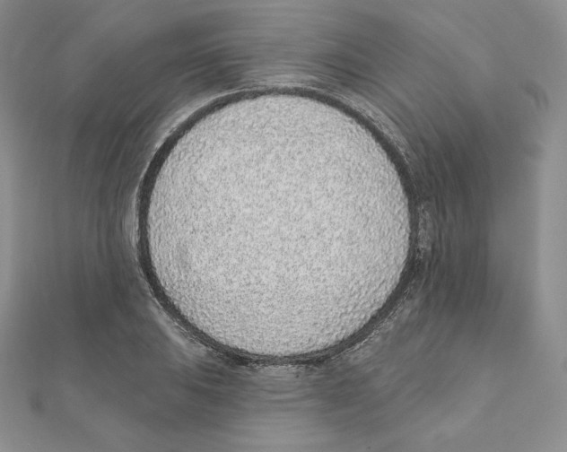 X0000111131031200907281046