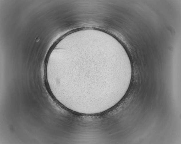 X0000111131032200907281046