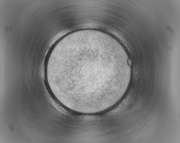 X0000111131034200907281046