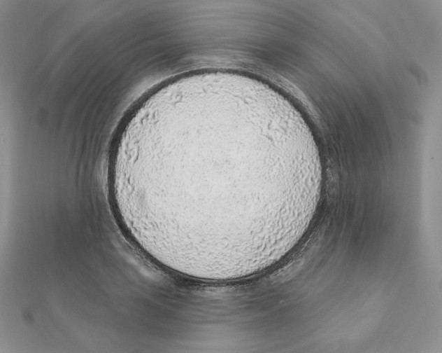 X0000111131035200907281046