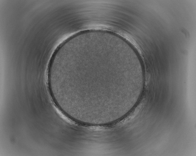 X0000111131037200907281046