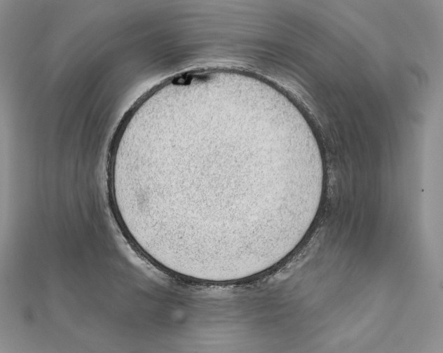 X0000111131038200907281046
