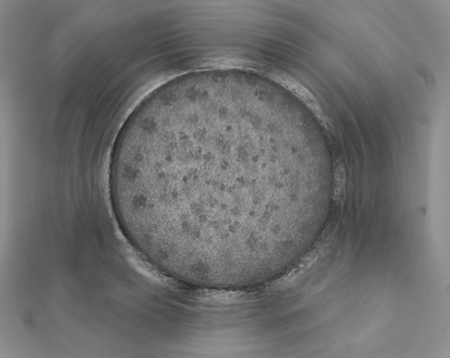 X0000111131039200907281046