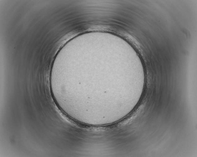 X0000111131041200907281046