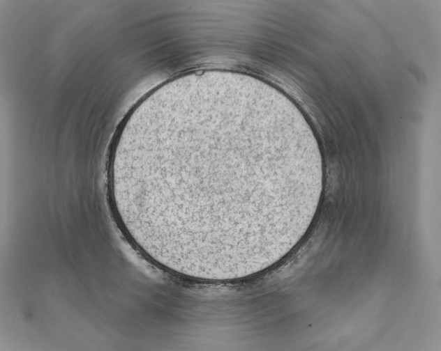 X0000111131042200907281046