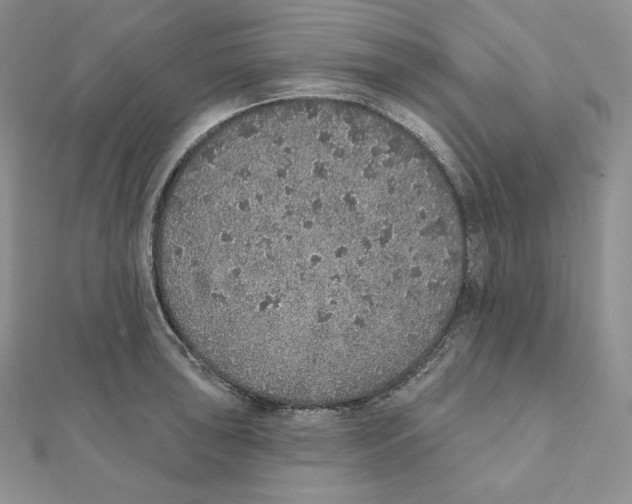X0000111131043200907281046