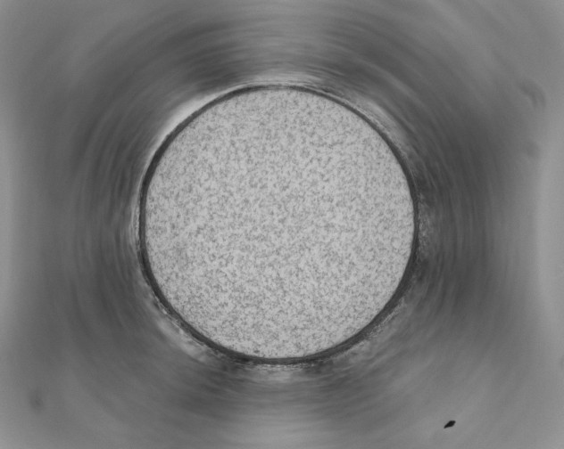 X0000111131044200907281046
