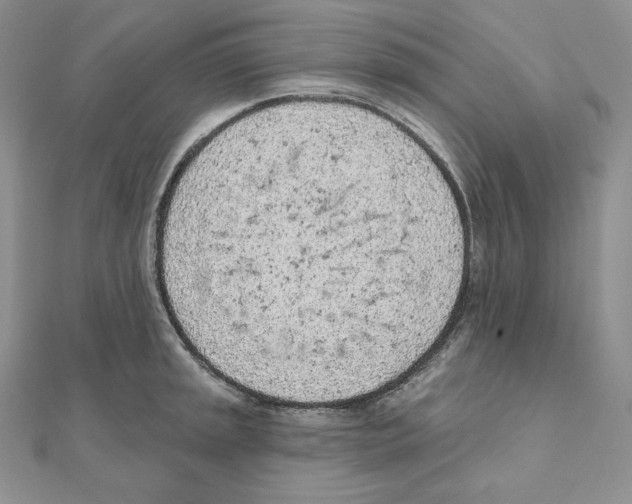 X0000111131045200907281046
