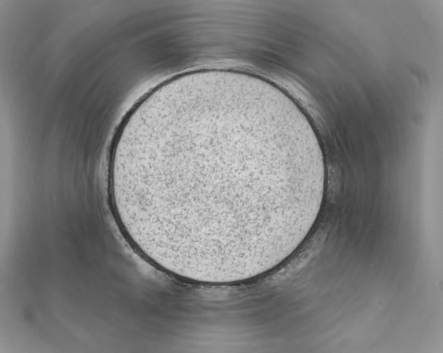 X0000111131046200907281046