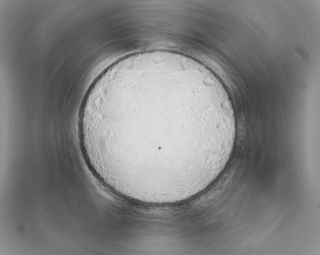 X0000111131047200907281046