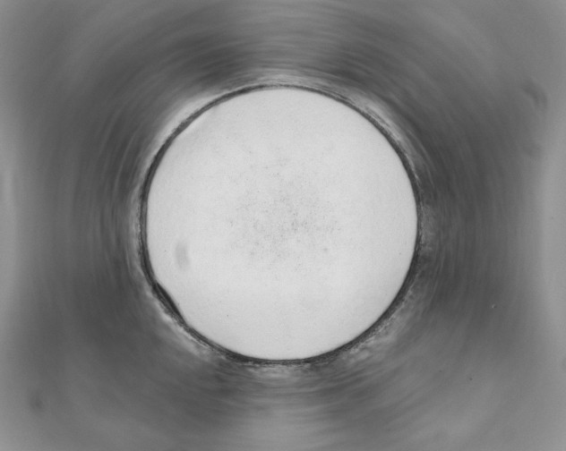 X0000111131048200907281046