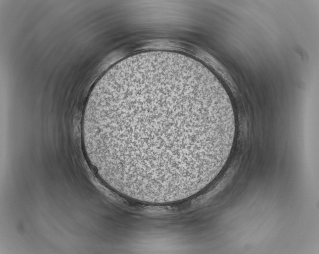 X0000111131049200907281046