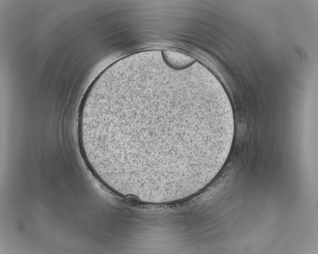 X0000111131050200907281046