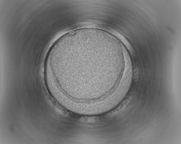 X0000111131051200907281046