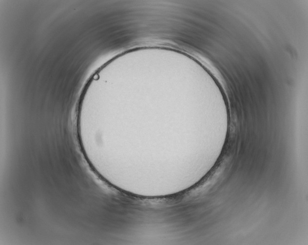 X0000111131053200907281046