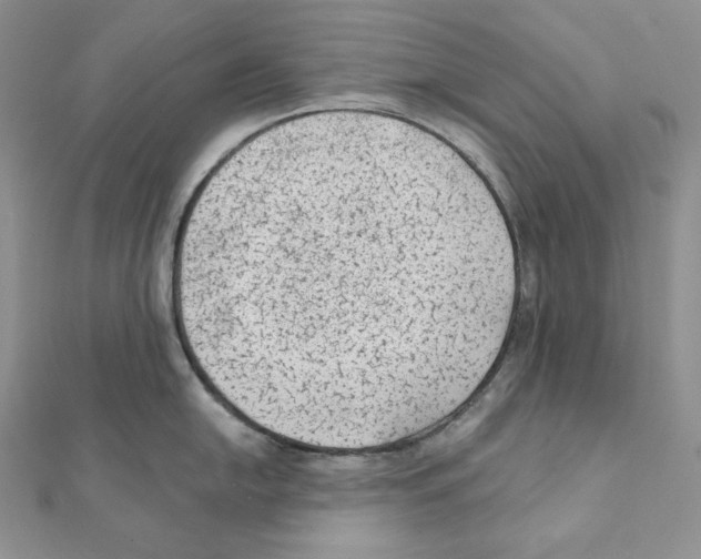 X0000111131054200907281046