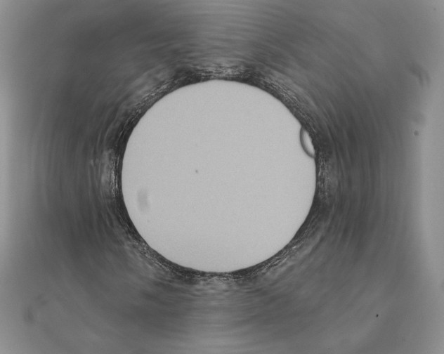 X0000111131058200907281046