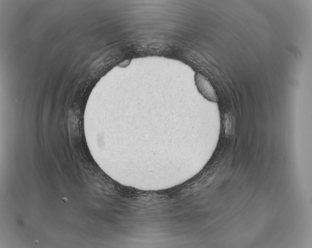 X0000111131059200907281046