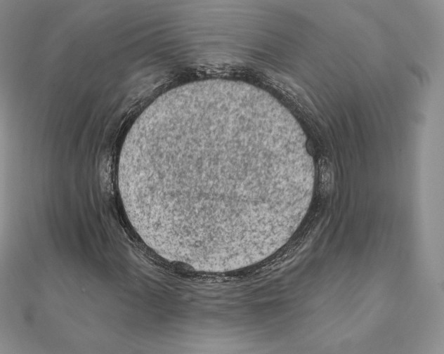 X0000111131060200907281046