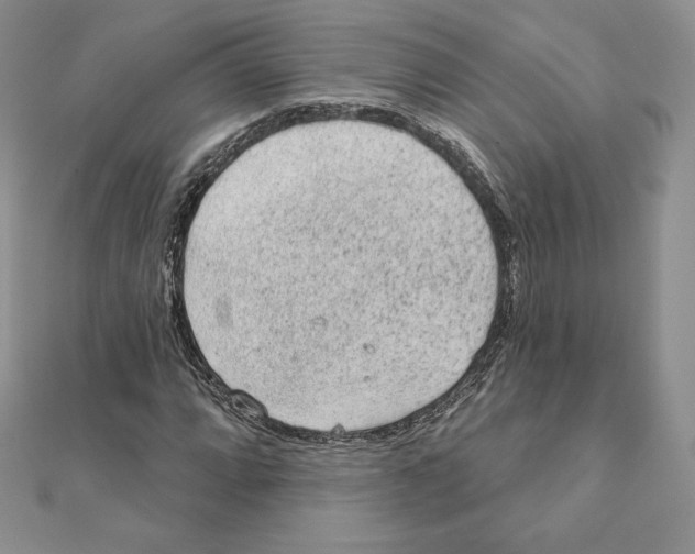 X0000111131064200907281045
