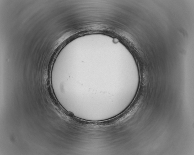 X0000111131065200907281045