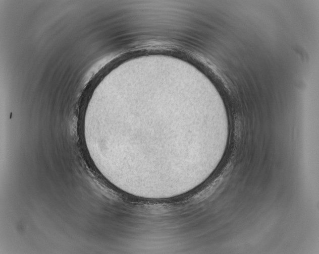 X0000111131066200907281045