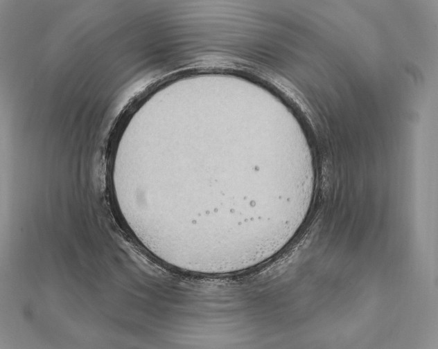 X0000111131067200907281045