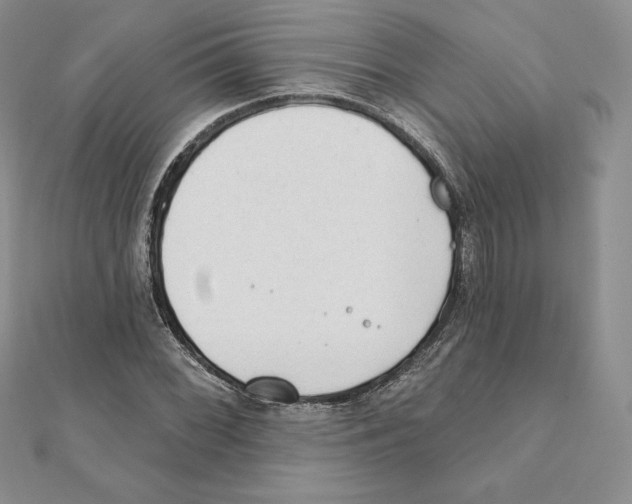 X0000111131068200907281045