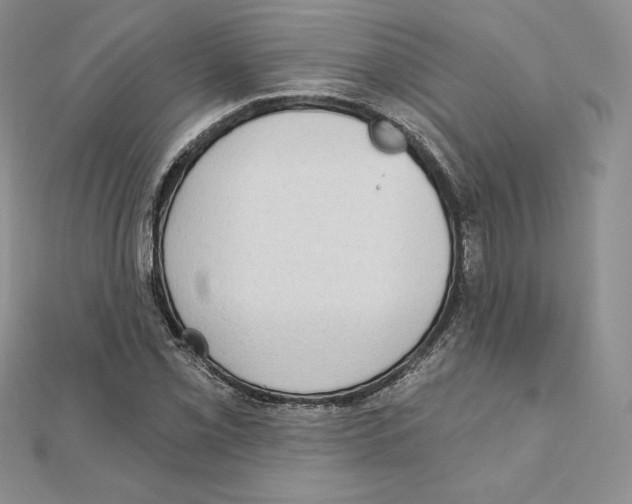 X0000111131069200907281045
