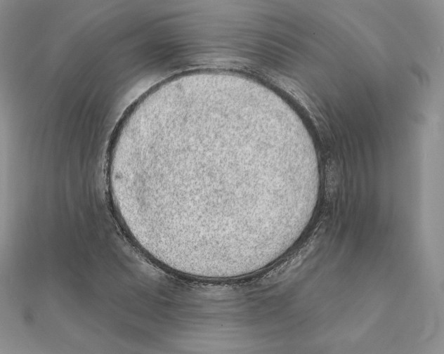 X0000111131071200907281045