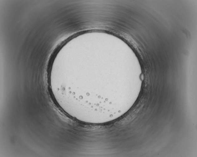 X0000111131072200907281045